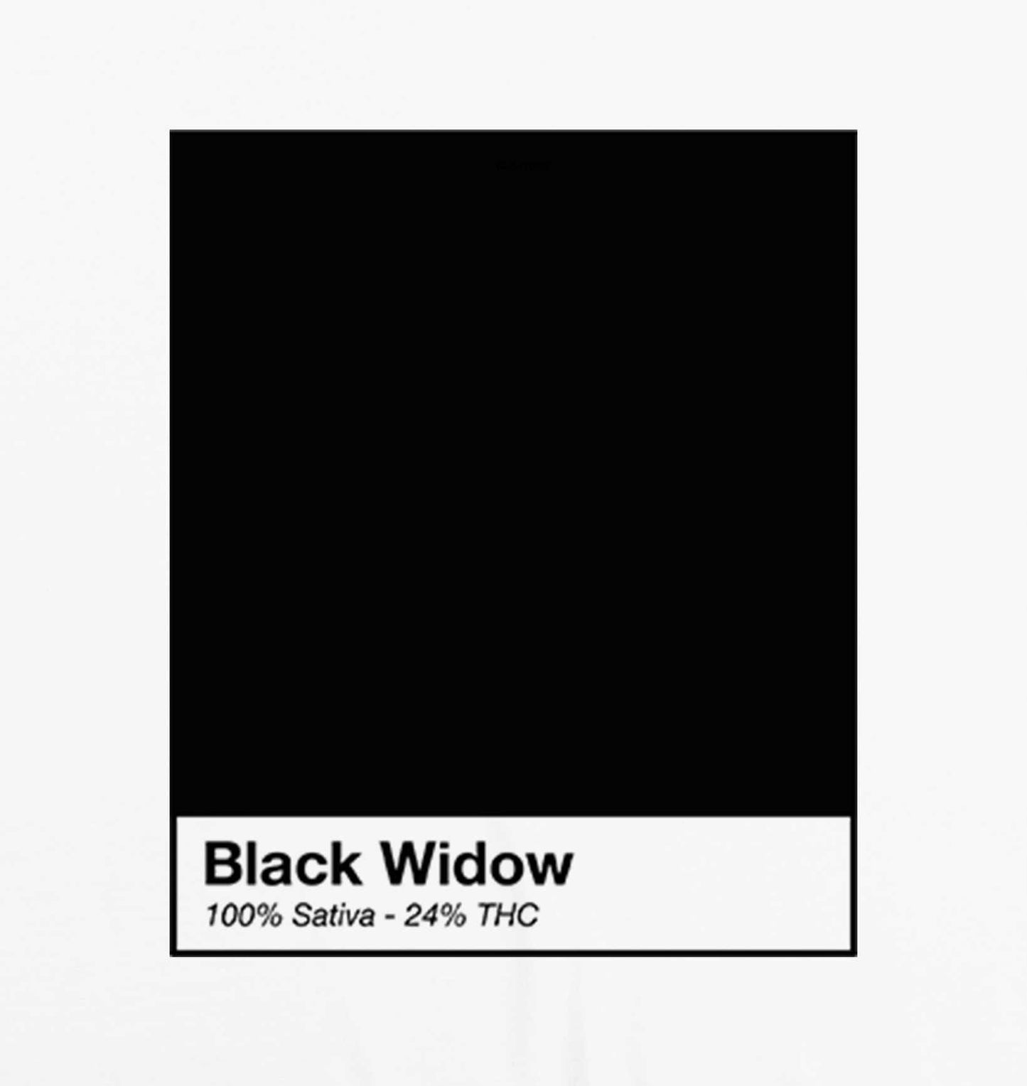 Gros plan motif black widow - GL BOUTIK