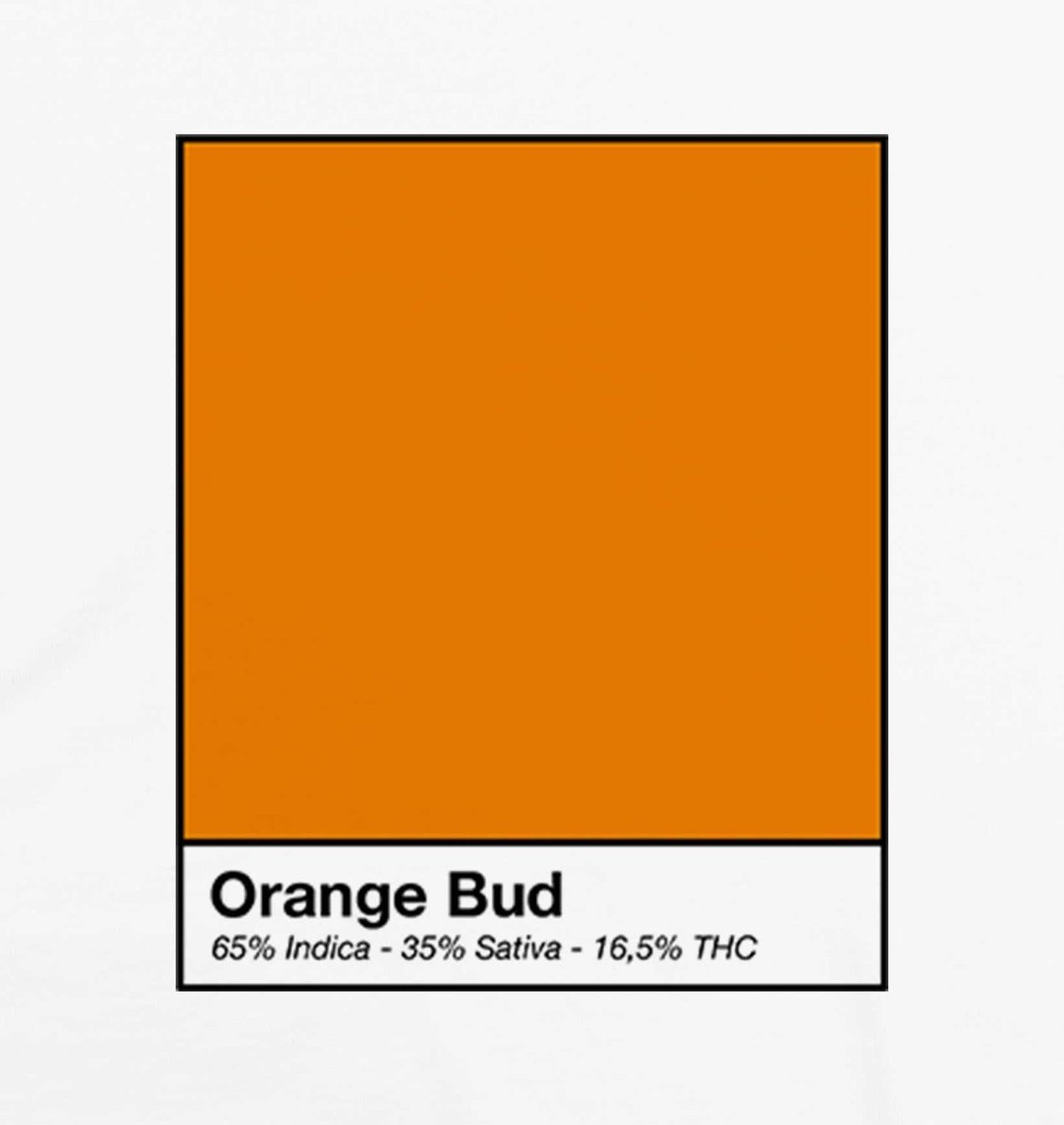 Motif orange bud en gros plan - GL BOUTIK